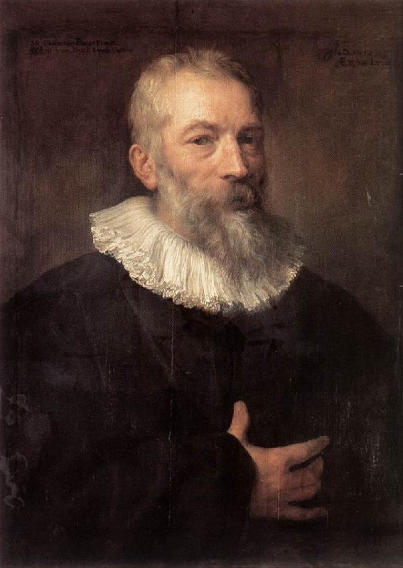 DYCK, Sir Anthony Van Portrait of the Artist Marten Pepijn dfg oil painting image